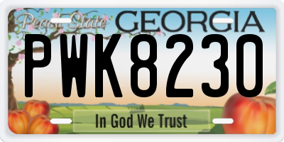 GA license plate PWK8230