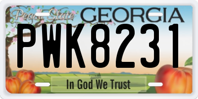 GA license plate PWK8231