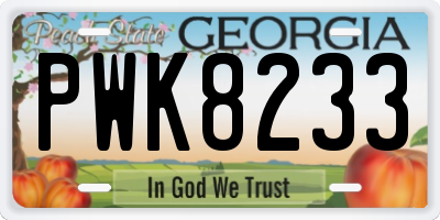 GA license plate PWK8233