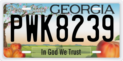 GA license plate PWK8239