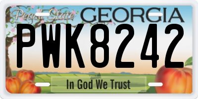 GA license plate PWK8242
