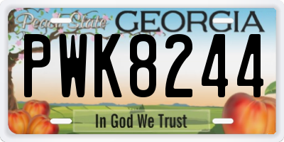 GA license plate PWK8244
