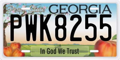 GA license plate PWK8255
