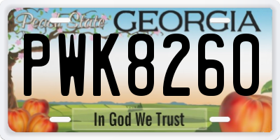 GA license plate PWK8260