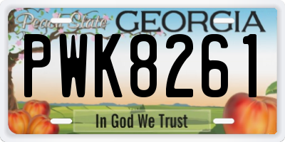 GA license plate PWK8261