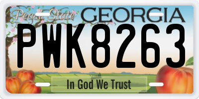 GA license plate PWK8263