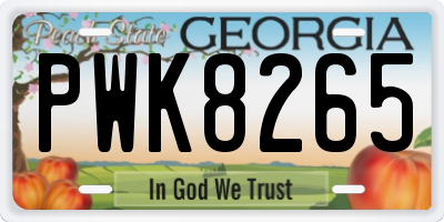 GA license plate PWK8265