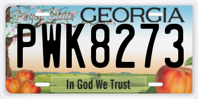 GA license plate PWK8273