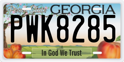 GA license plate PWK8285
