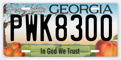 GA license plate PWK8300