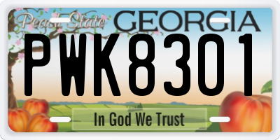 GA license plate PWK8301