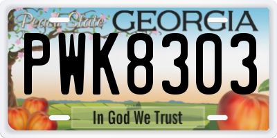 GA license plate PWK8303