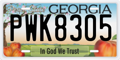 GA license plate PWK8305
