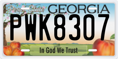 GA license plate PWK8307