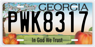 GA license plate PWK8317