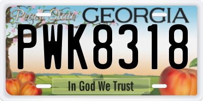 GA license plate PWK8318
