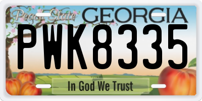 GA license plate PWK8335