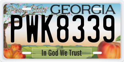 GA license plate PWK8339
