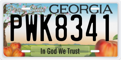 GA license plate PWK8341
