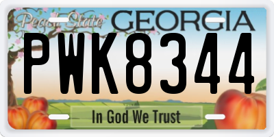 GA license plate PWK8344