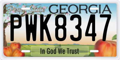 GA license plate PWK8347