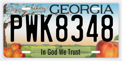 GA license plate PWK8348