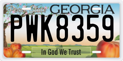 GA license plate PWK8359
