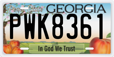 GA license plate PWK8361