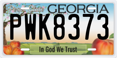 GA license plate PWK8373