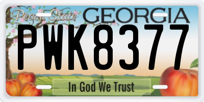 GA license plate PWK8377