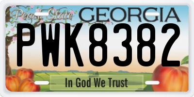 GA license plate PWK8382