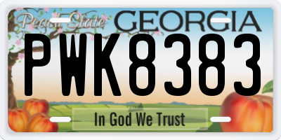 GA license plate PWK8383