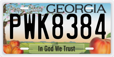 GA license plate PWK8384