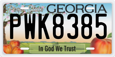 GA license plate PWK8385