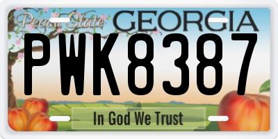 GA license plate PWK8387