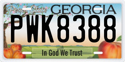 GA license plate PWK8388