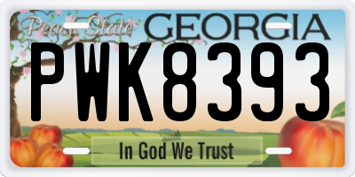 GA license plate PWK8393