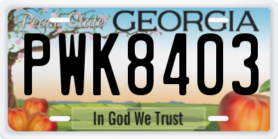 GA license plate PWK8403