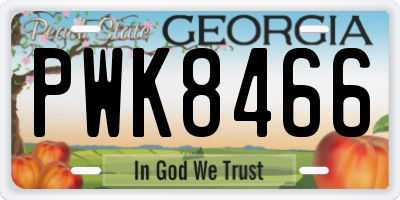 GA license plate PWK8466
