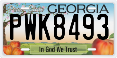 GA license plate PWK8493