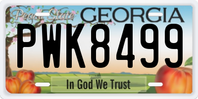 GA license plate PWK8499