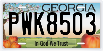 GA license plate PWK8503