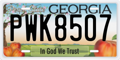 GA license plate PWK8507