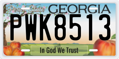 GA license plate PWK8513