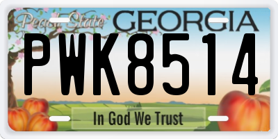 GA license plate PWK8514