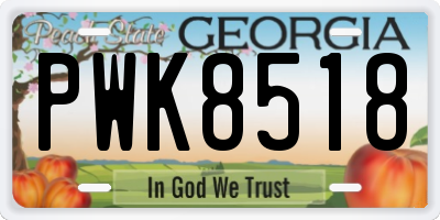 GA license plate PWK8518
