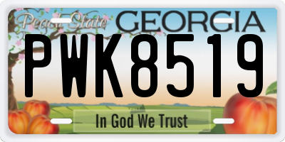 GA license plate PWK8519