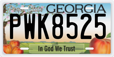 GA license plate PWK8525