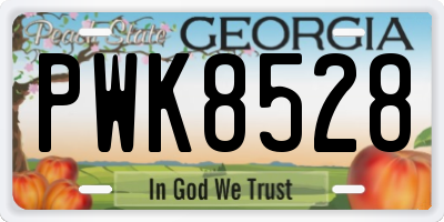GA license plate PWK8528
