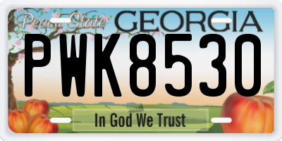 GA license plate PWK8530